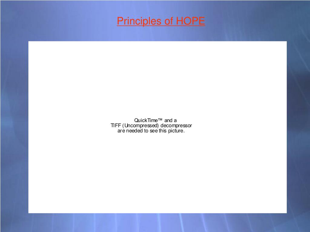 PPT Christina Barnes Bridget Bujak Matthew La Grou PowerPoint