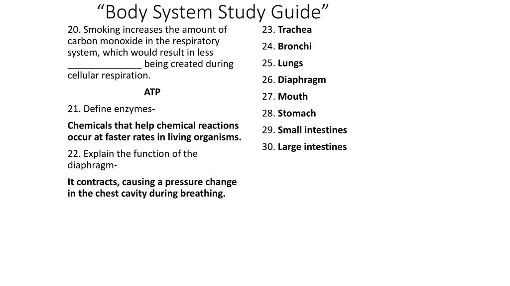 PPT Sponge Body System Study Guide 10/24/14 INB P. 97 PowerPoint
