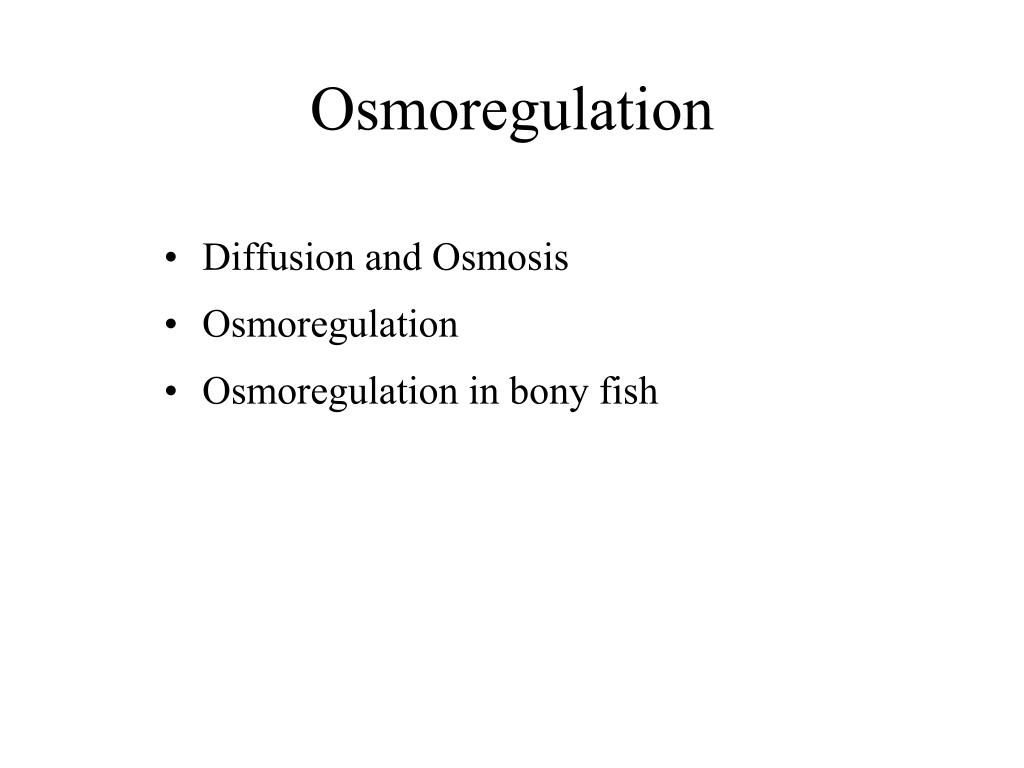 PPT Osmoregulation PowerPoint Presentation, free download ID6542733