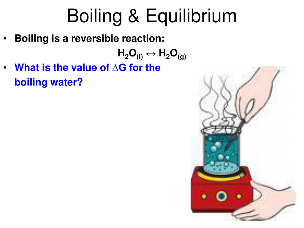 PPT Chapter 19 PowerPoint Presentation, free download ID6543229