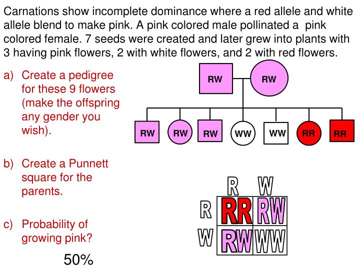 PPT Dominance & Codominance PowerPoint Presentation ID