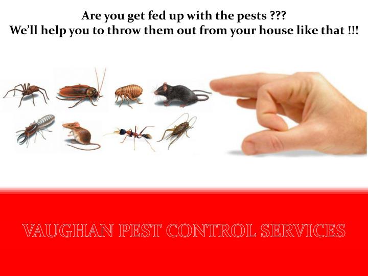 PPT vaughan pest control services PowerPoint Presentation ID6546677
