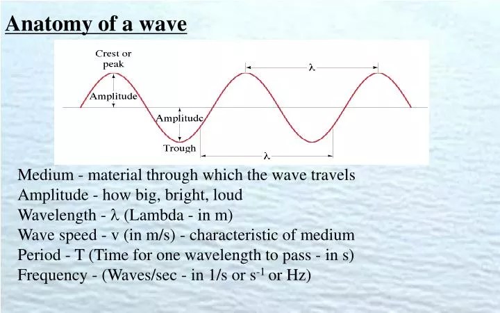 Anatomy Of A Wave Worksheet - inspireado