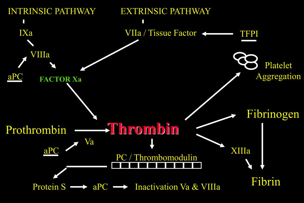 PPT Anticoagulants, Thrombolytic Agents and Antiplatelet Drugs