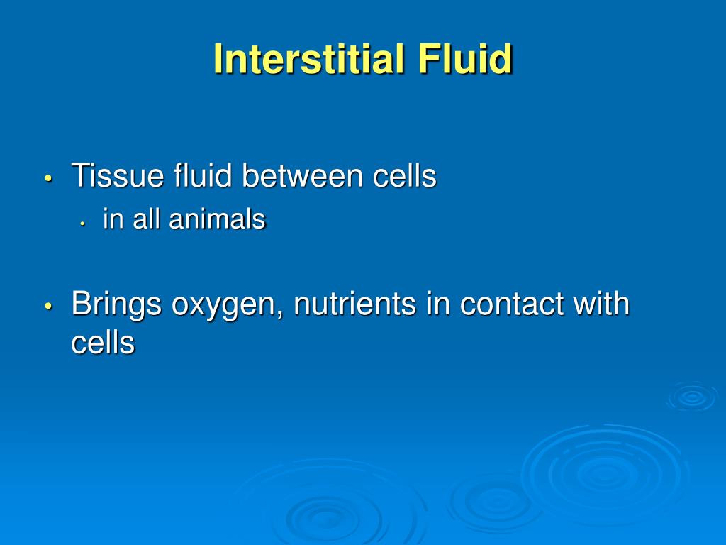 PPT Internal Transport PowerPoint Presentation, free download ID