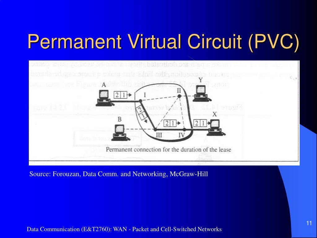 PPT WAN Packet and Cellswitched Networks PowerPoint