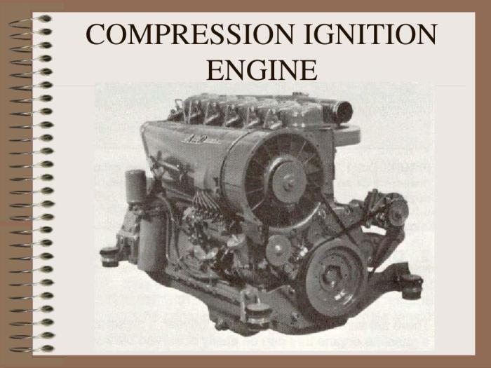 How is diesel fuel ignited in a warm diesel engine