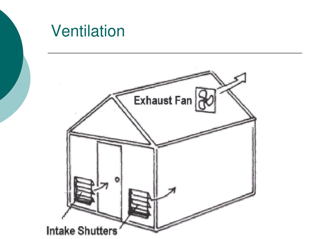 PPT Greenhouse Structures PowerPoint Presentation, free download ID