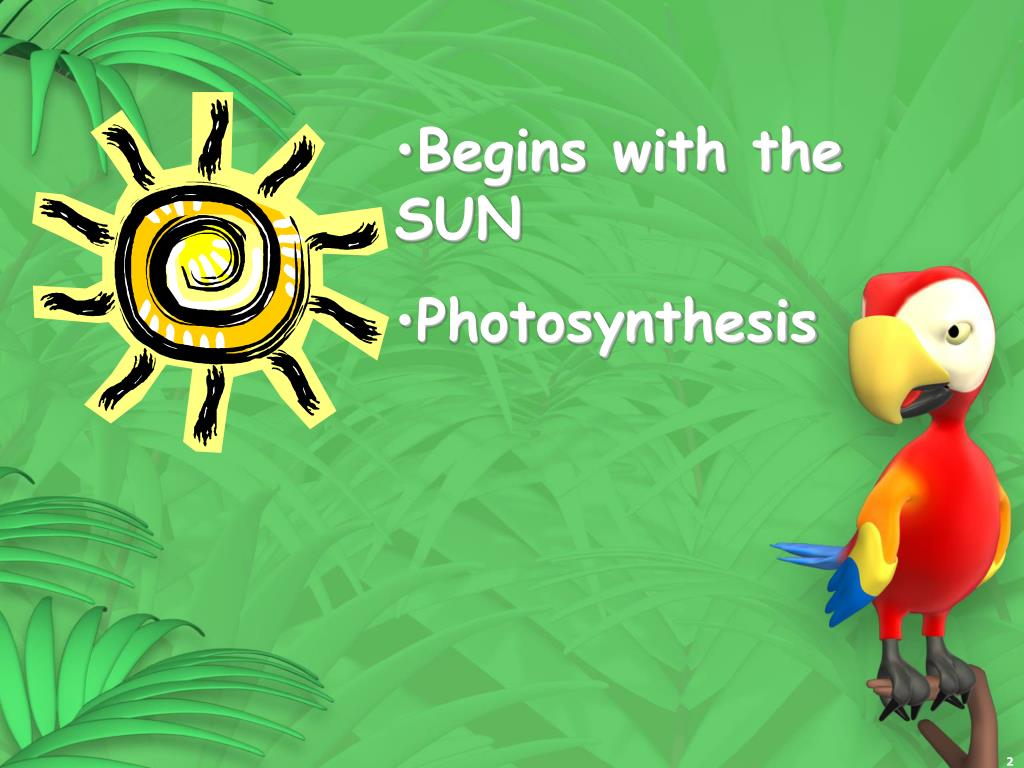 PPT Energy Flow Through an Ecosystem PowerPoint Presentation, free