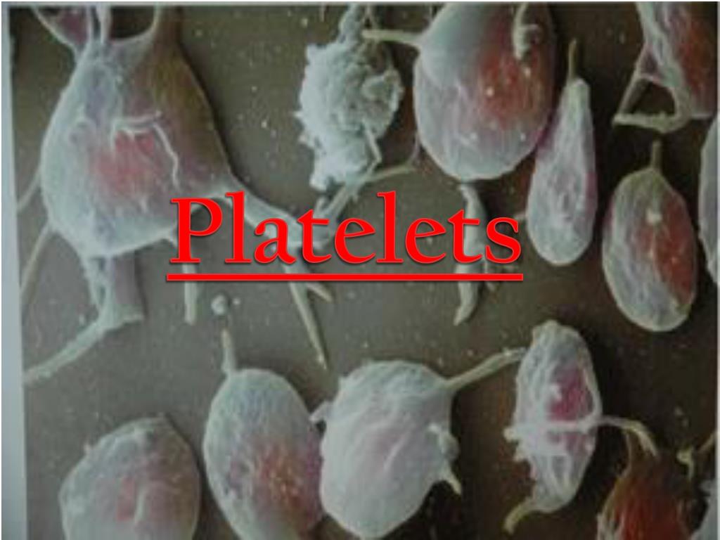 PPT Blood Transfusion PowerPoint Presentation, free download ID6575697