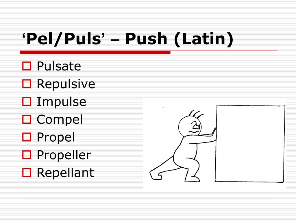 PPT Using root words to work out meaning PowerPoint Presentation