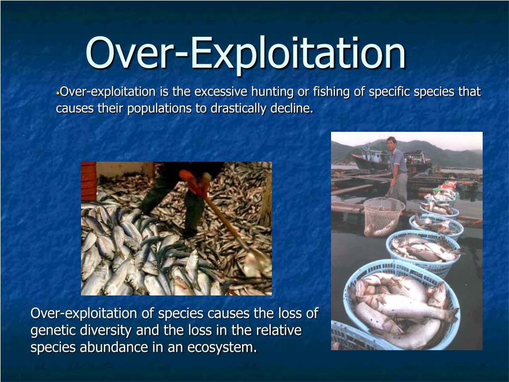 PPT What have we done! PowerPoint Presentation, free download ID