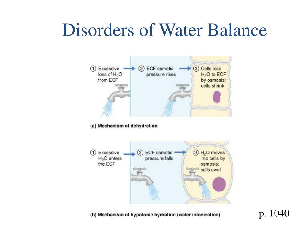 PPT ACIDBASE BALANCE PowerPoint Presentation, free download ID6579634