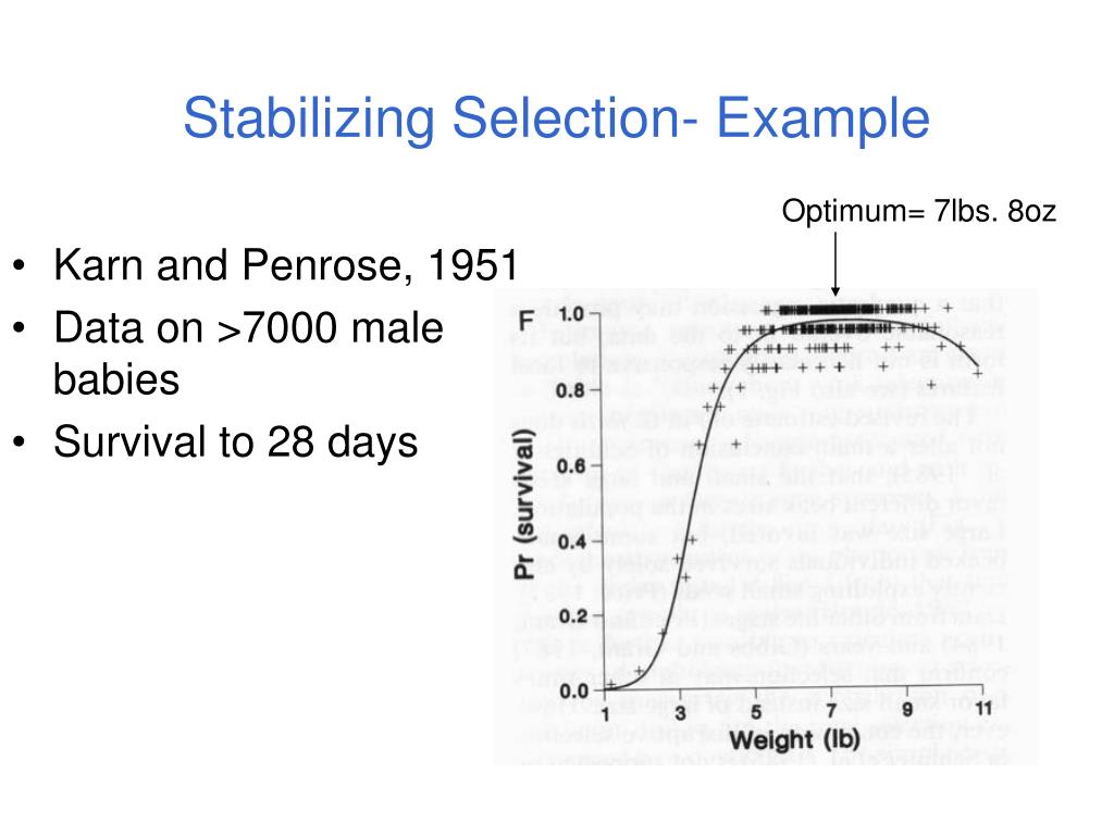 PPT Evolution by Natural Selection as a Syllogism PowerPoint