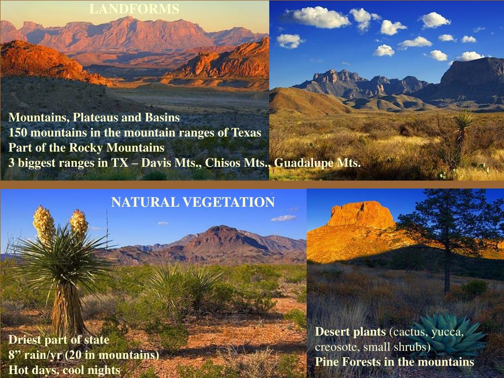 PPT Mountains and Basins Region PowerPoint Presentation, free