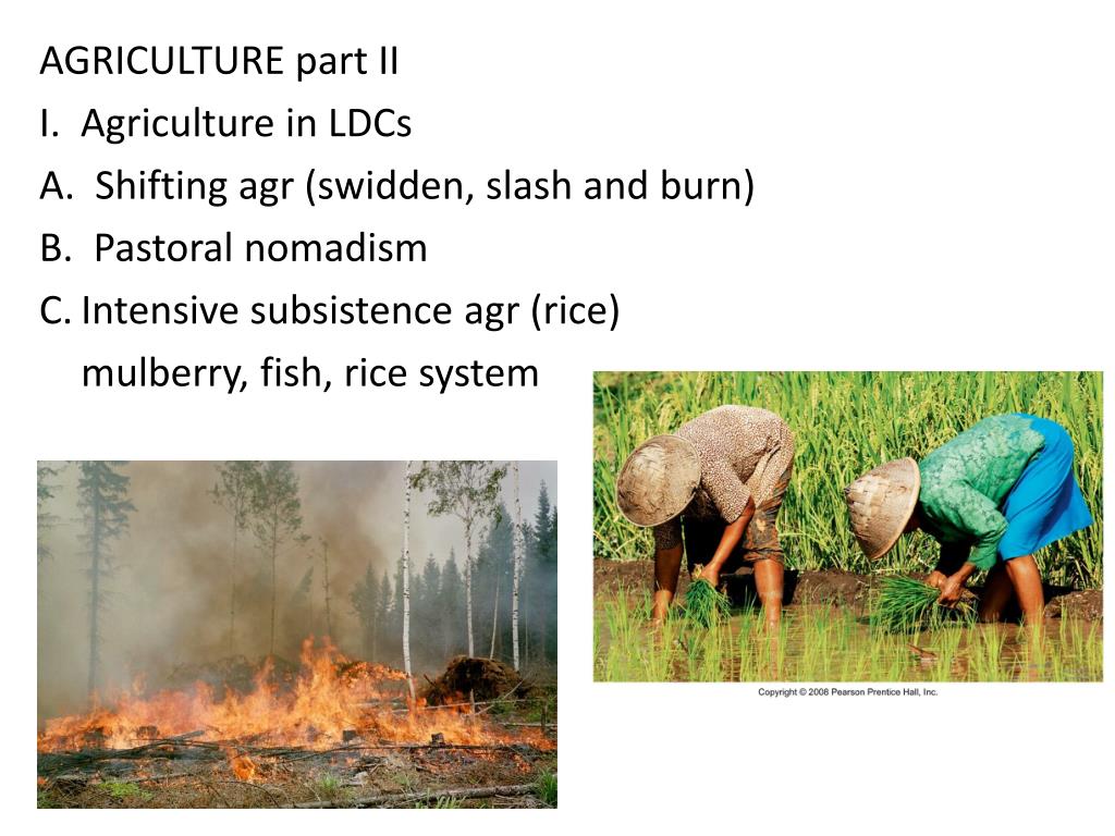 PPT World Agriculture Regions PowerPoint Presentation, free download