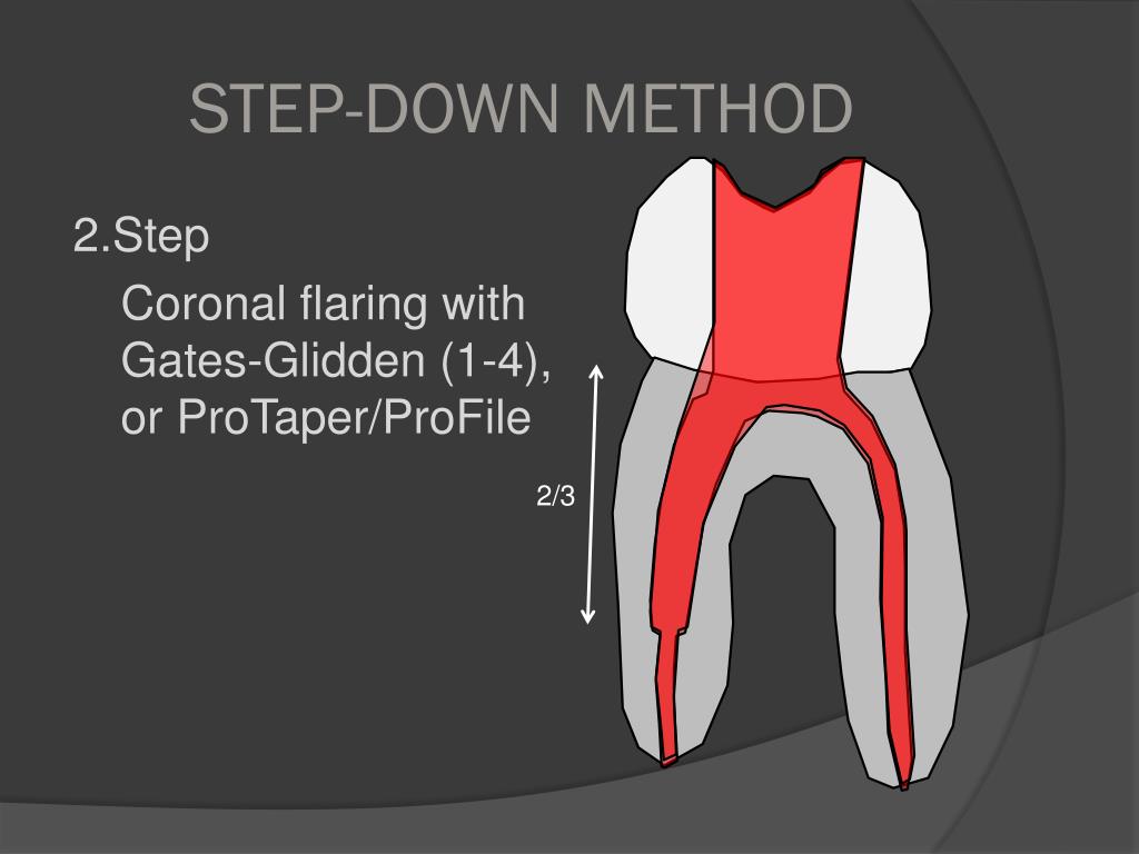 PPT TECHNIQUES AND METHODS OF PREPARATION OF ROOT CANALS PowerPoint