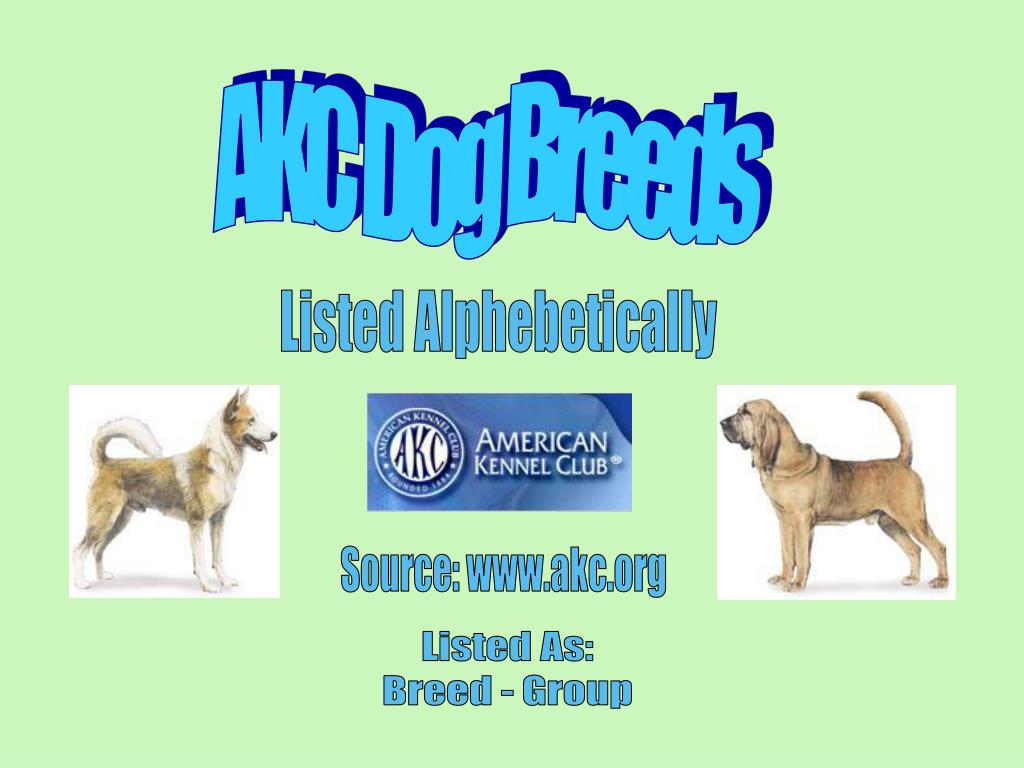 PPT AKC Dog Breeds PowerPoint Presentation, free