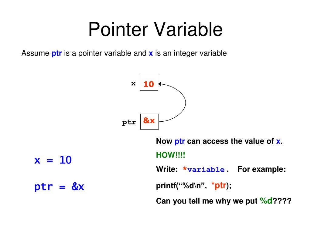 PPT Pointers in C PowerPoint Presentation, free download ID6588354