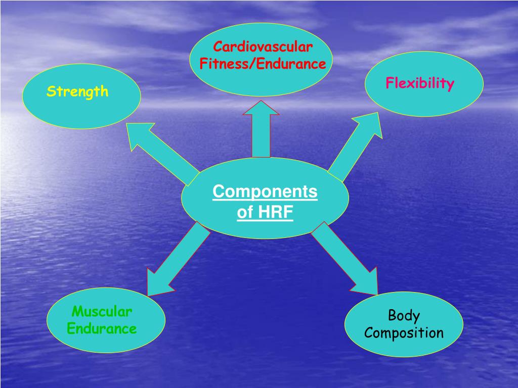 PPT Components of Health Related Fitness (HRF) PowerPoint
