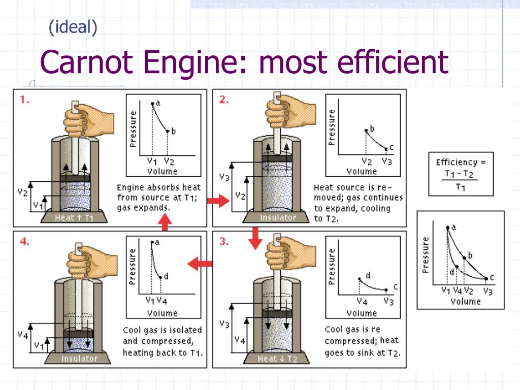 PPT - Thermodynamics PowerPoint Presentation, free download - ID:6592149