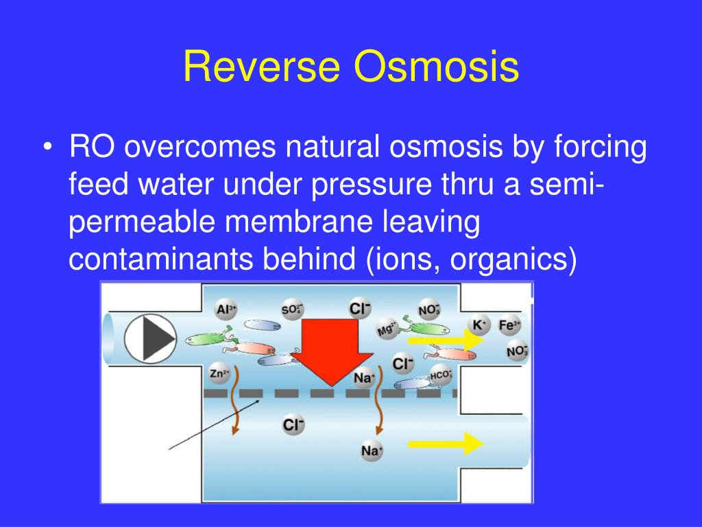 PPT Water Treatment in Hemodialysis PowerPoint Presentation, free
