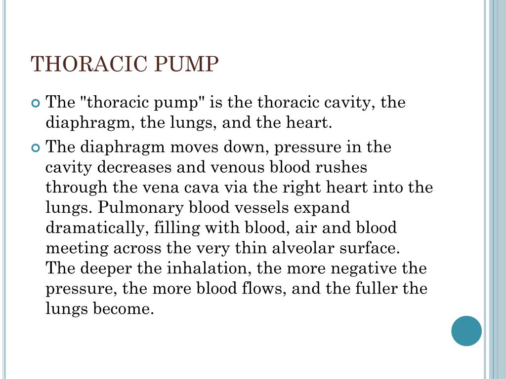 PPT RT 230 PowerPoint Presentation, free download ID6598220