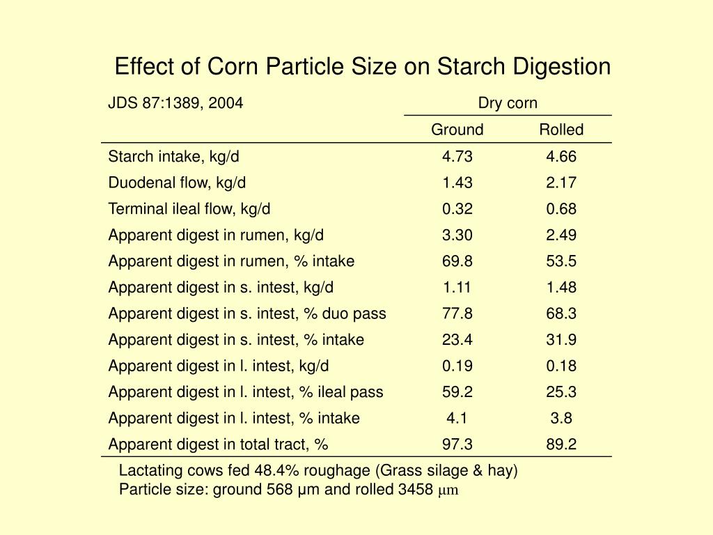 PPT Cellulose Digestion PowerPoint Presentation, free download ID