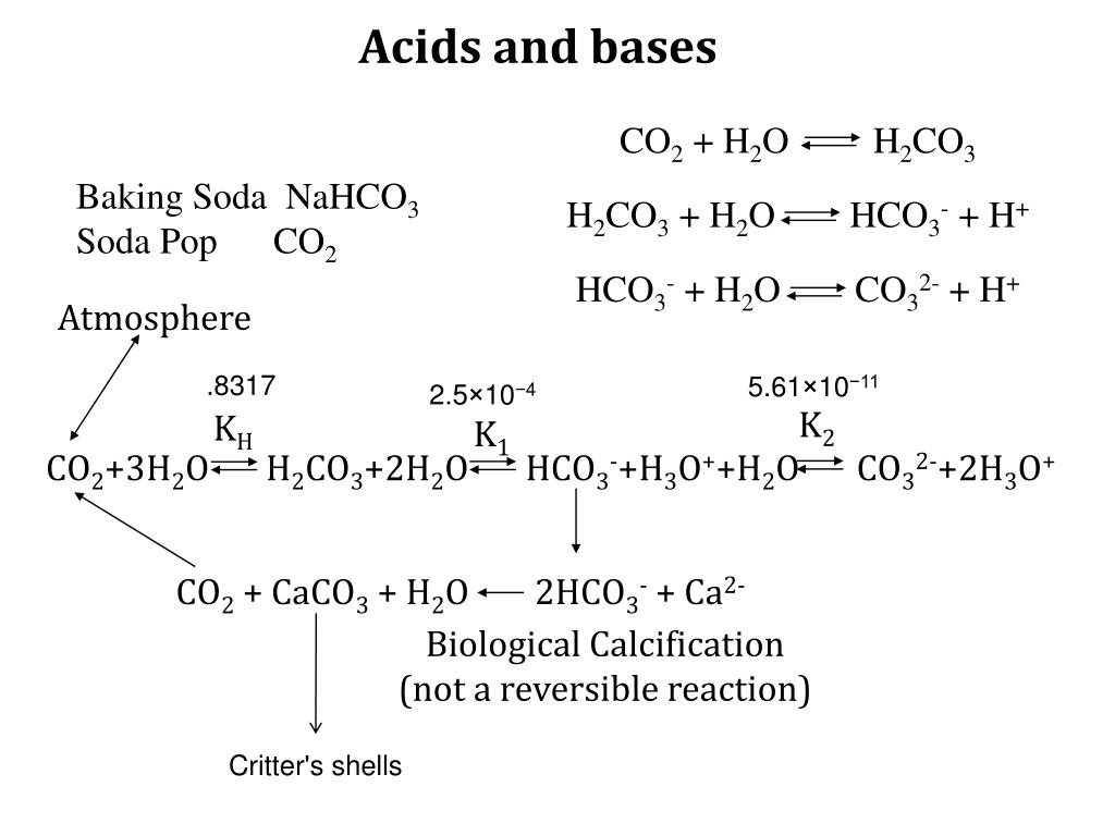 PPT Autoionization reaction of liquid water pH, pOH , and p K w