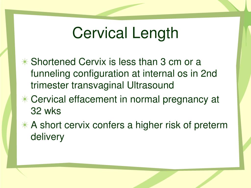 PPT Preterm Labor PowerPoint Presentation, free download ID6599488