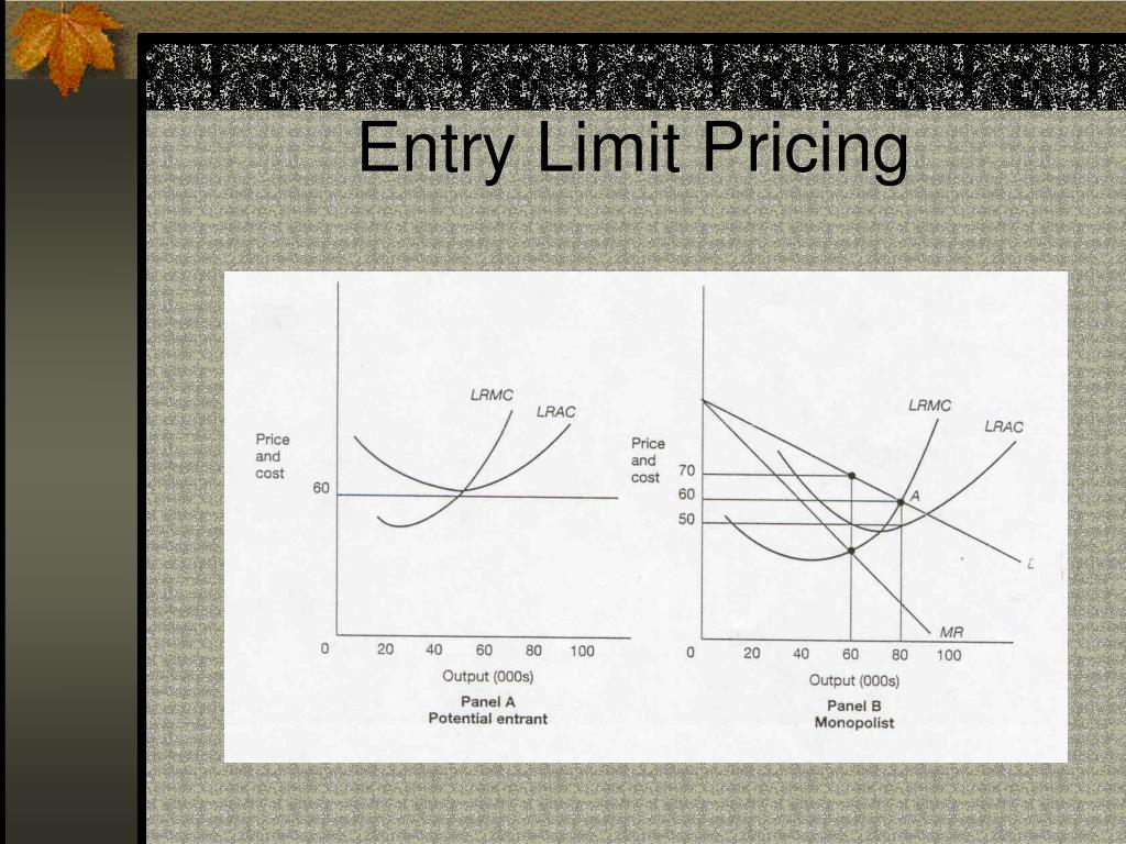 PPT Unit 8. PowerPoint Presentation, free download ID6600501