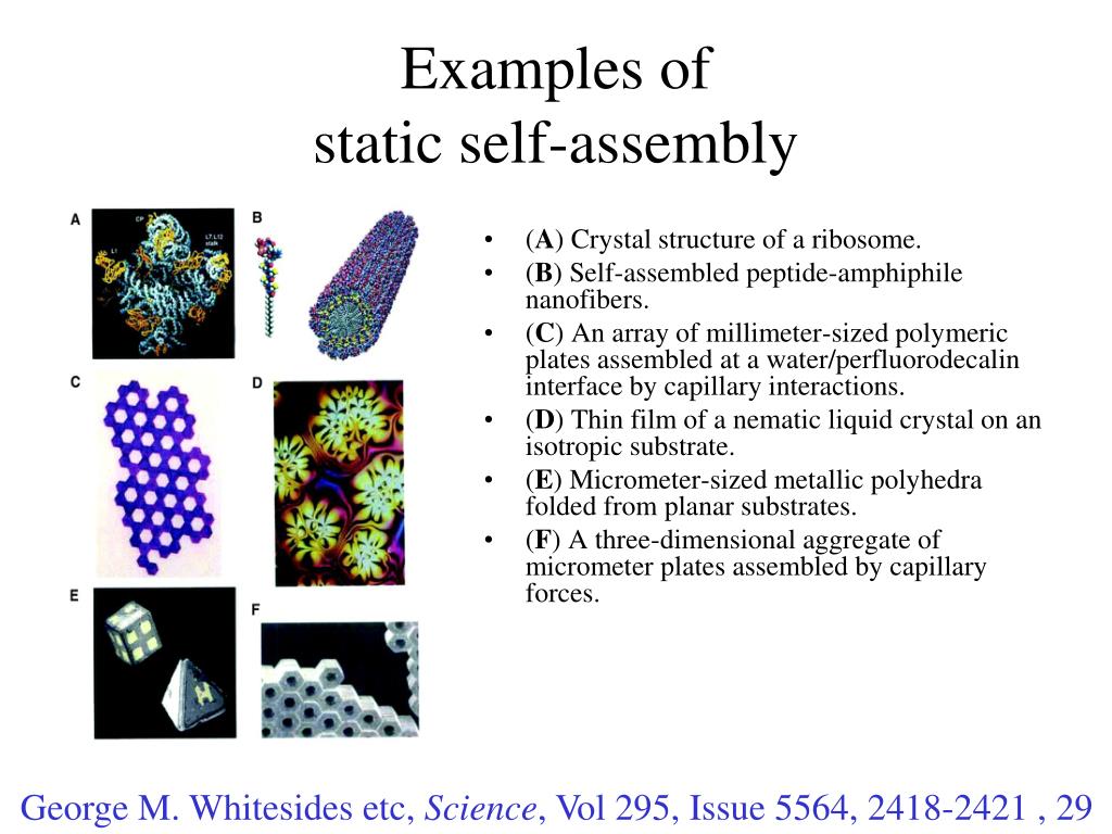PPT Biomass Fundamentals Modules 16, 17 Higher Order Functionality