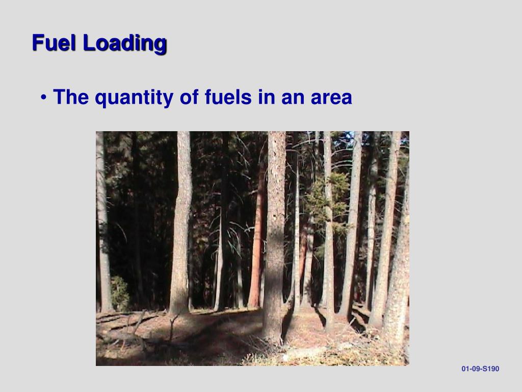 PPT Introduction to Wildland Fire Behavior PowerPoint Presentation, free download ID6603147