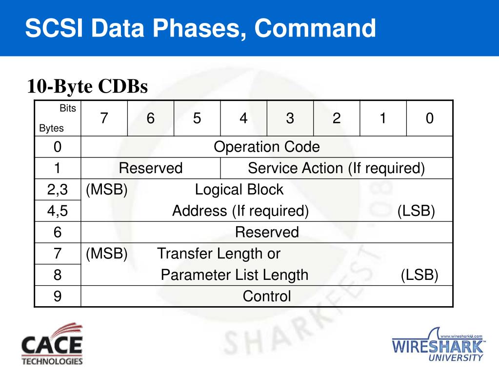 PPT File and Disk Sharing Protocols April 2, 2008 Richard Sharpe