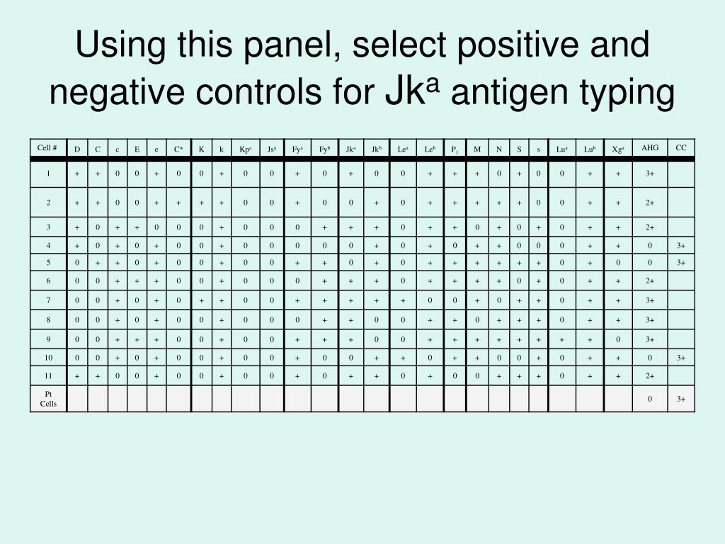 PPT Antibody Detection & Identification Review PowerPoint