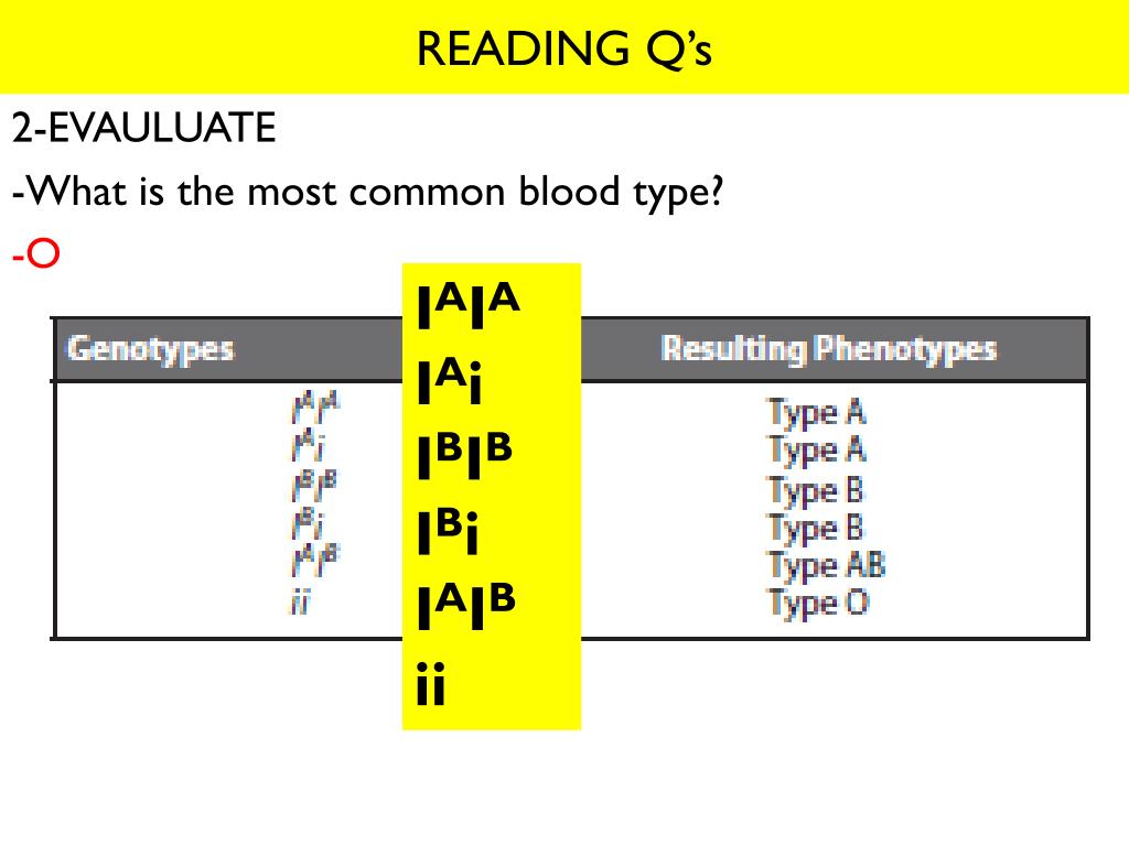 PPT 11.2 COMPLEX PATTERNS OF HUMAN INHERITANCE PowerPoint