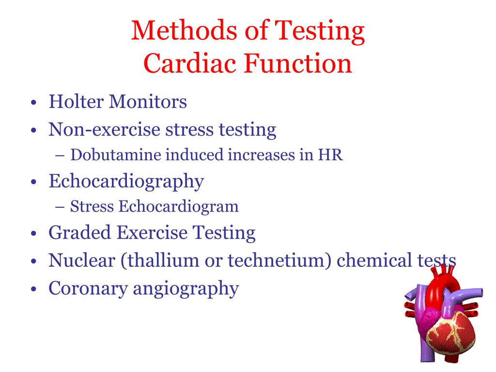 PPT Cardiovascular Testing Techniques PowerPoint Presentation, free