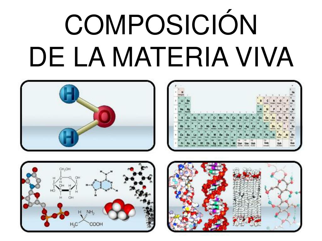 PPT COMPOSICIÓN DE LA MATERIA VIVA PowerPoint