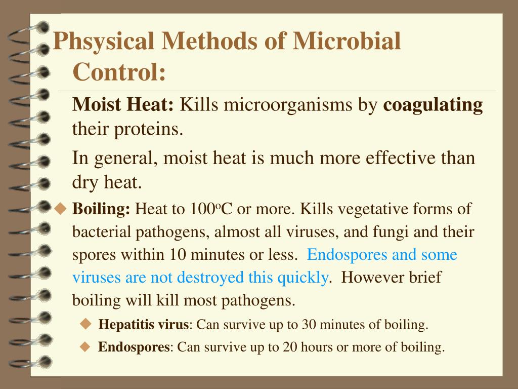 PPT Control of Microbial Growth PowerPoint Presentation, free