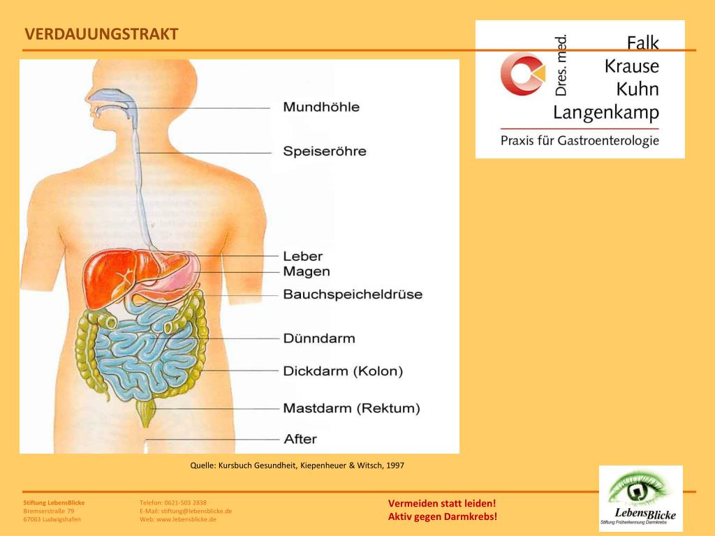 PPT ist besser als Darmkrebs sicher verhindern