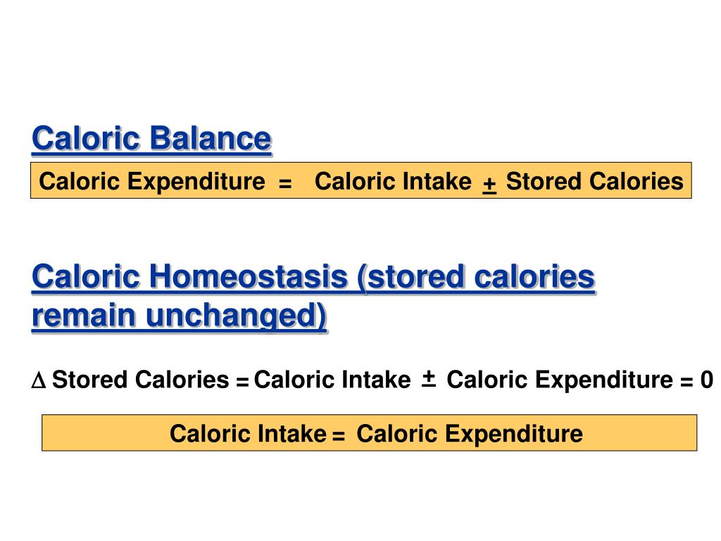 PPT Caloric Homeostasis Control of Energy Homeostasis and Food Intake PowerPoint Presentation