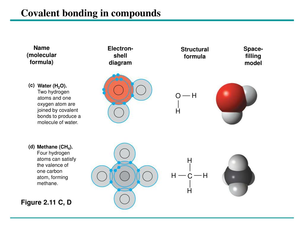 PPT Covalent bonds where electrons are shared PowerPoint