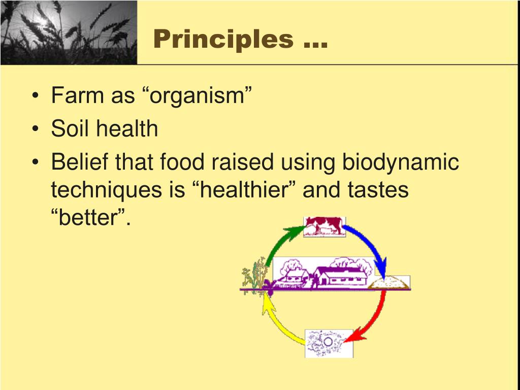 PPT Biodynamic Farming PowerPoint Presentation, free download ID