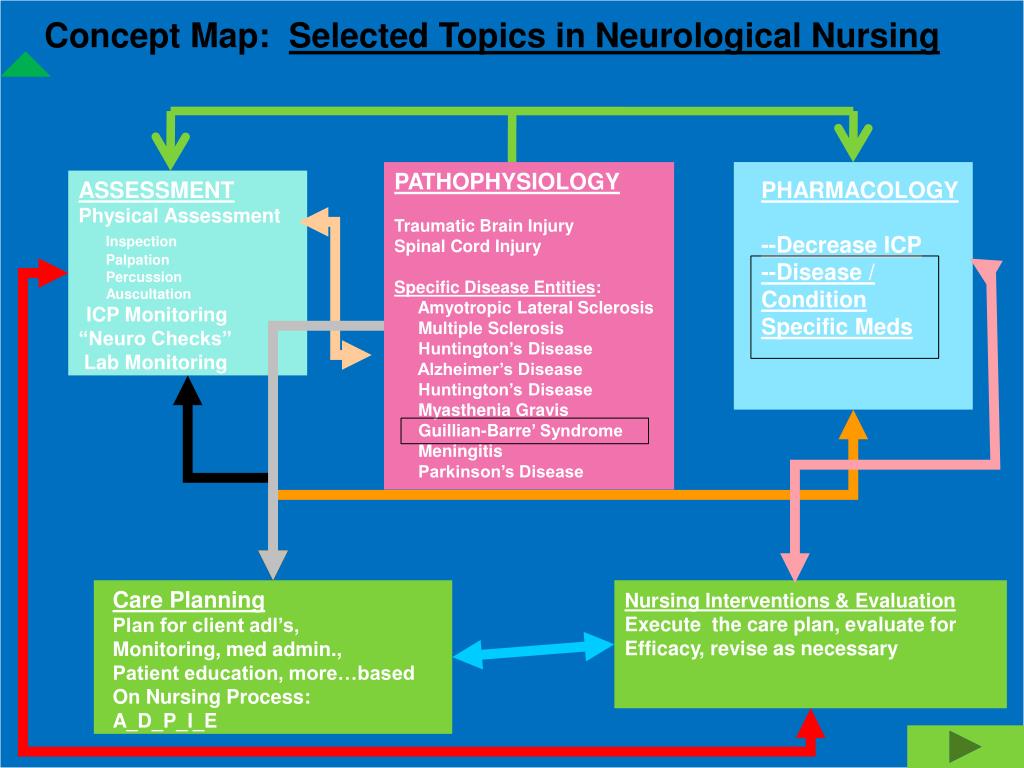 Guillain Barre Syndrome Pathophysiology / GuillainBarré Syndrome