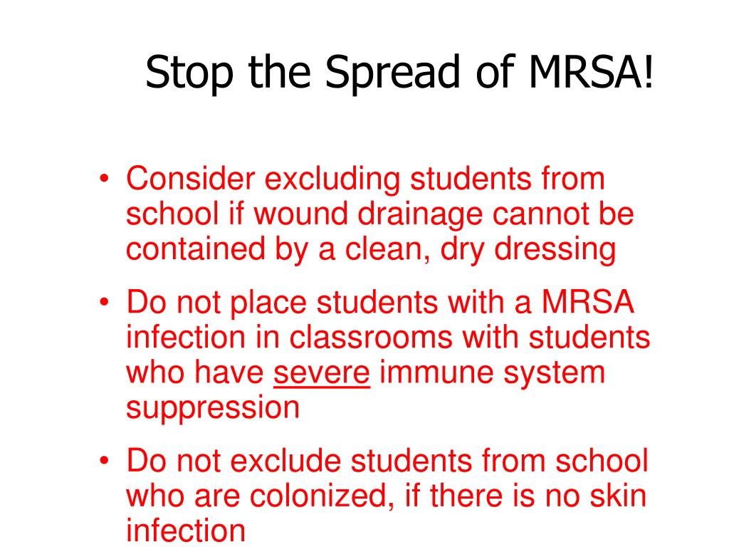 PPT In Schools PowerPoint Presentation, free download ID6626926