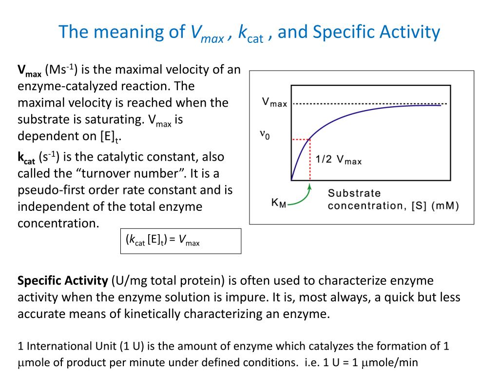 PPT Enzyme PowerPoint Presentation, free download ID6630235
