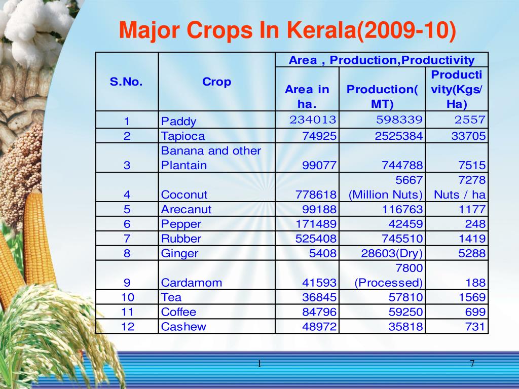 PPT Agricultural Marketing in Kerala DEPARTMENT OF AGRICULTURE KERALA