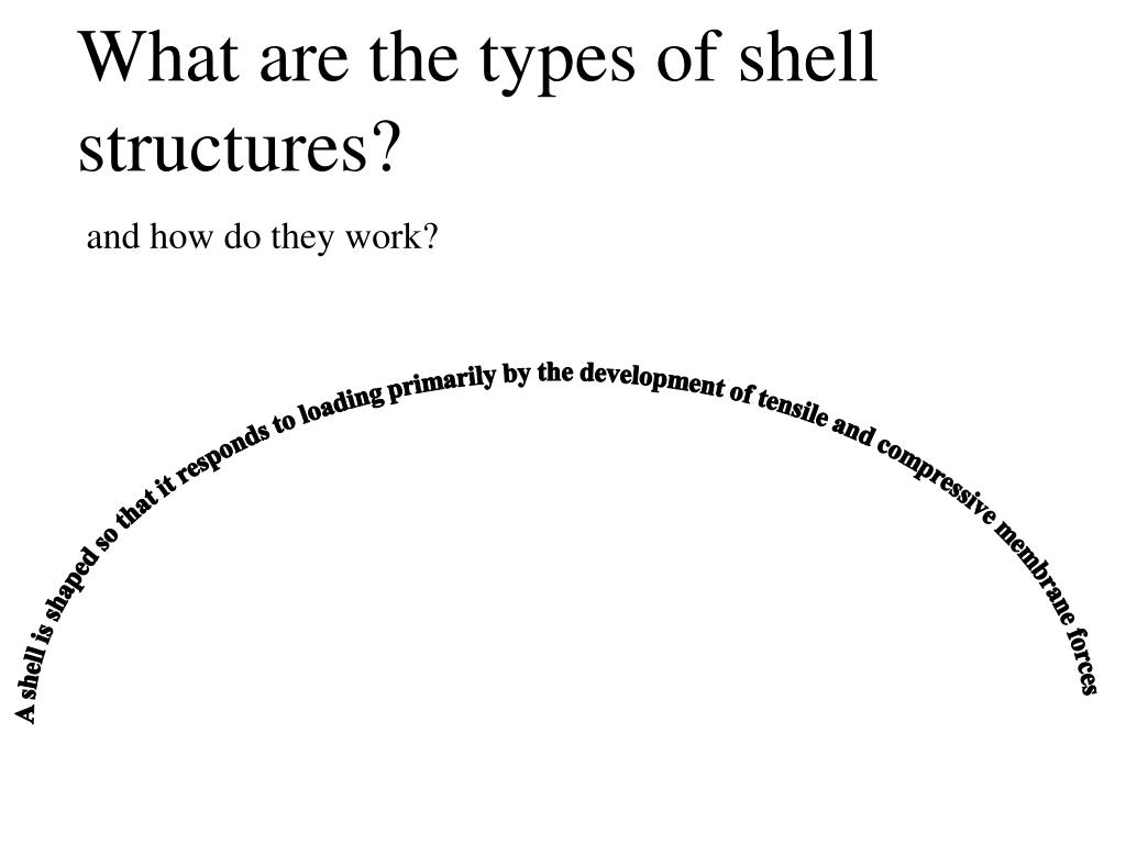 PPT What are the types of shell structures? PowerPoint Presentation