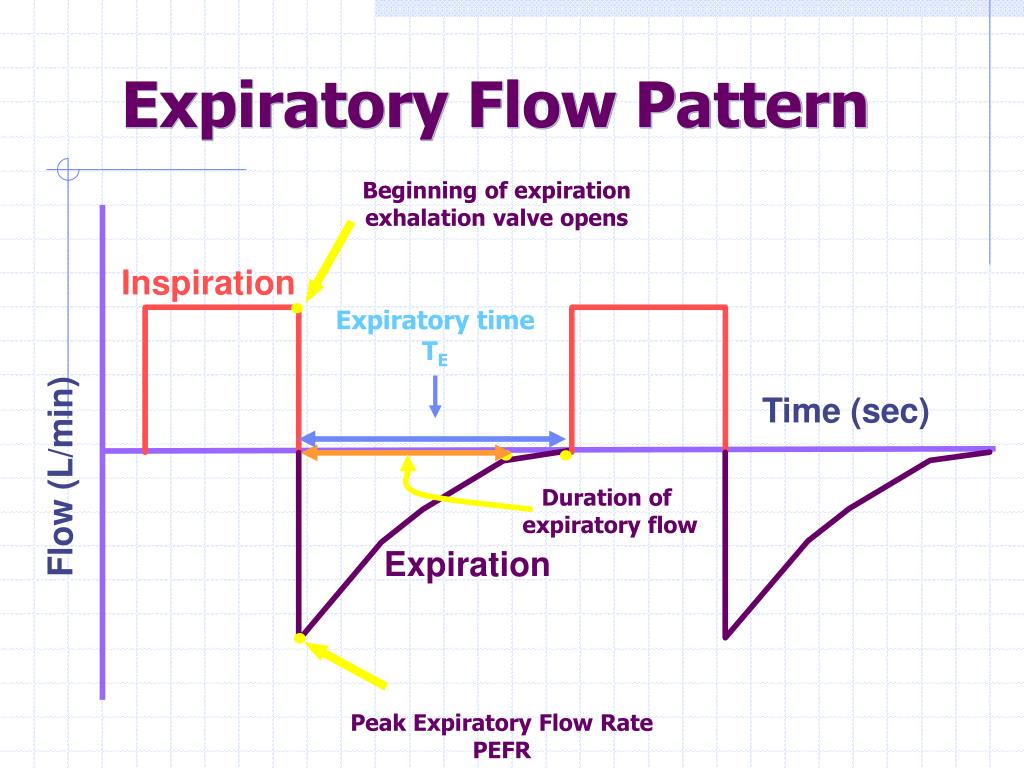 PPT Principles of Mechanical Ventilation PowerPoint Presentation