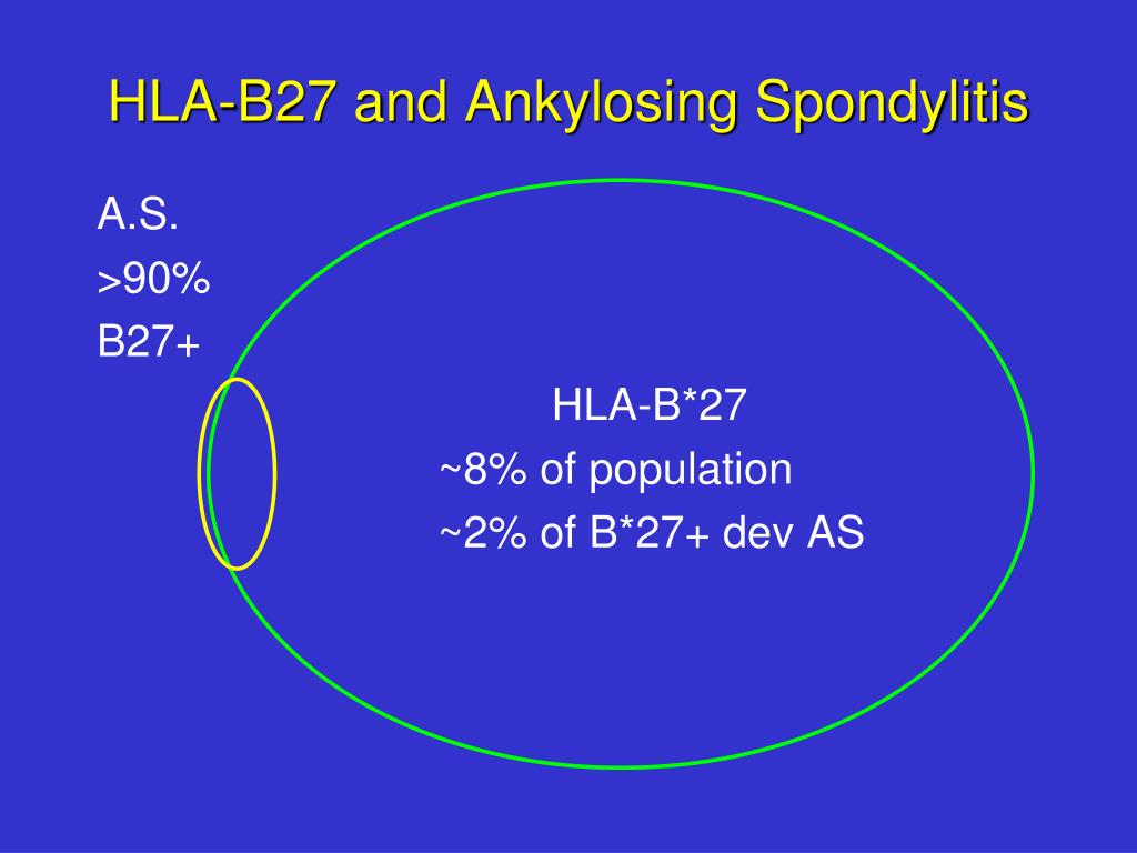 PPT HLA Typing for Blood Bankers PowerPoint Presentation, free
